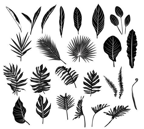leaf vector|Free Leaf Vector Art .